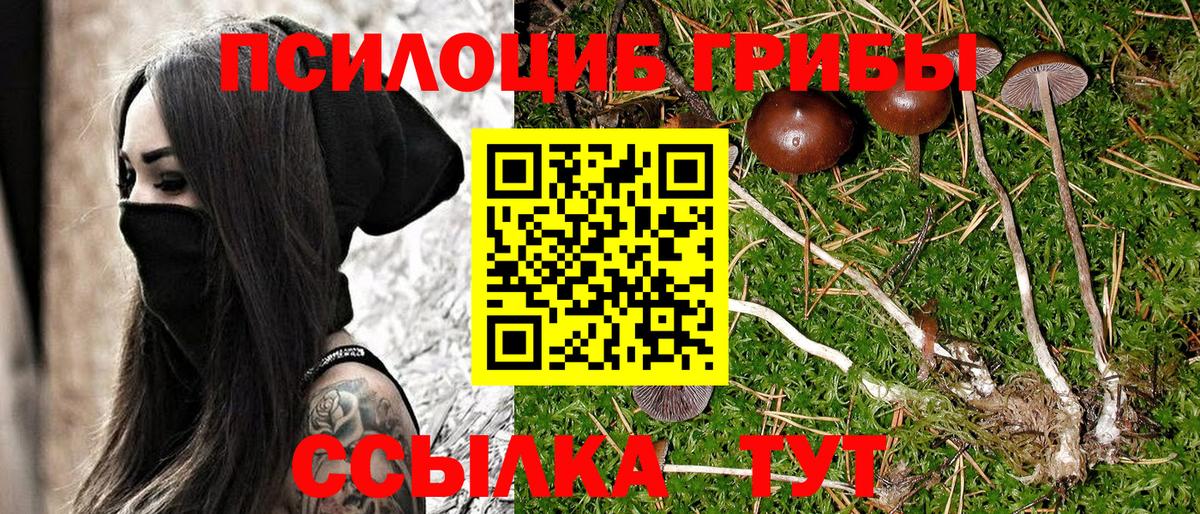 Псилоцибиновые грибы MAGIC MUSHROOMS Трёхгорный
